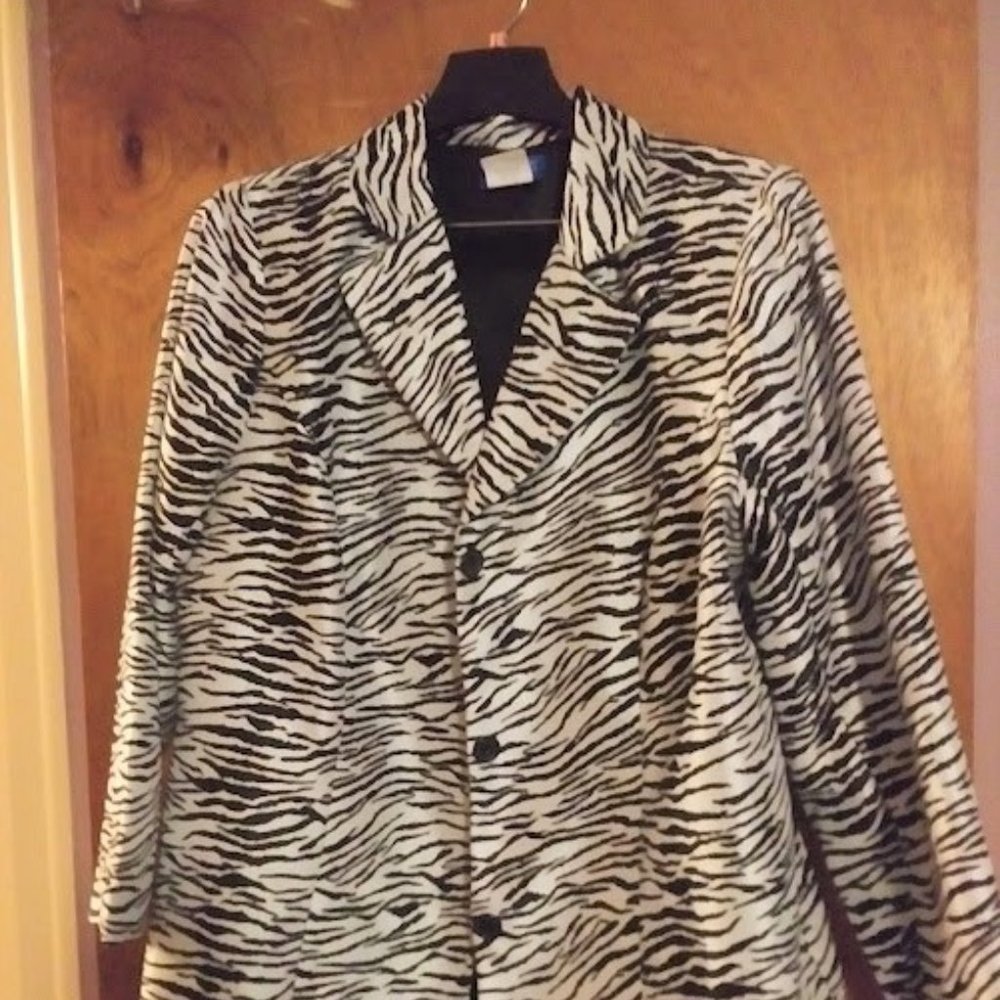 Snazzy 2 pc skirt set